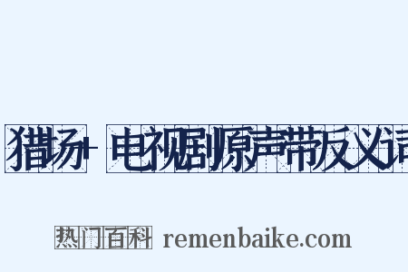 猎场+电视剧原声带反义词是什么意思的图片